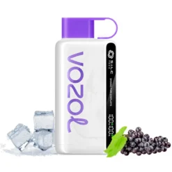 Vozol STAR 12000 Grape Ice Puff Bar