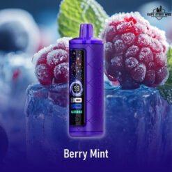 VOOPOO Cloud X 30000 Puffs Berry Mint